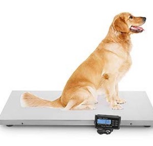 lot 12327 image: Pet Platform Scale&nbsp(stock photo approximate)