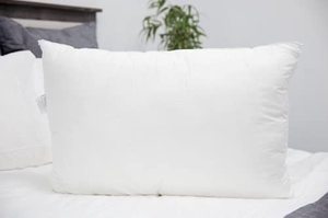 lot 3967 image: Carpenter Co Pillow, 2 Pack, 20 x 26