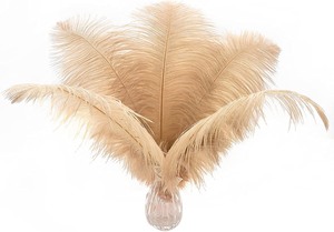 lot 3976 image: 6 Feather Dusters, Tan