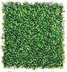lot 8021 image: Vegas Doggy 6 Pcs 20x20 16.67 Square Artificial Boxwood Grass Backdrop Panel