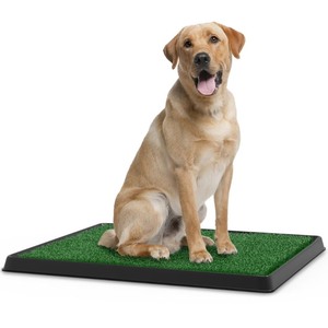 lot 8056 image: Dog Grass Pad With Tray House Cleaning Tranning Pad