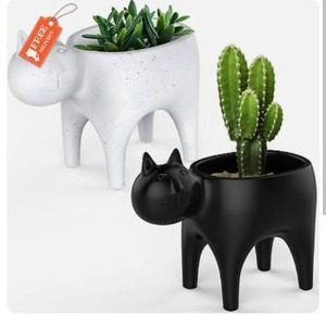 lot 9568 image: Furhome Collective Cat Planter Succulent Pots - Succulent Planter Perfect for Cat Grass Animal Planter, Cat Decor for Cute Cat Stuff Set of 2 Medium and Small Planter Pots - Cat Planter