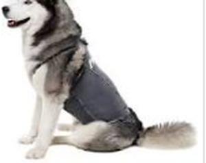 lot 9459 image: locolove dog vest large grey