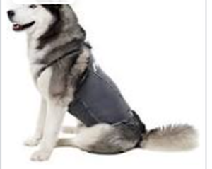 lot 9461 image: locolove dog vest 2x large grey