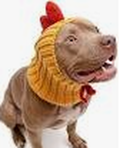 lot 9546 image: Small Dog Costume Chicken