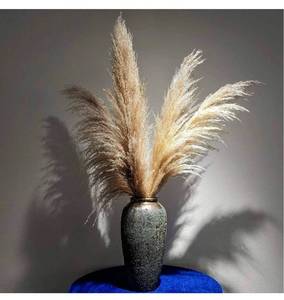 lot 39741 image: Pampas Grass Decor Tall 48 Inches,8 Stems Tall Pampas Grass Branches Tall Bulk Large,Boho Decor Pompous Grass No Shedding No Stench,for Home,Wedding and Events Decor