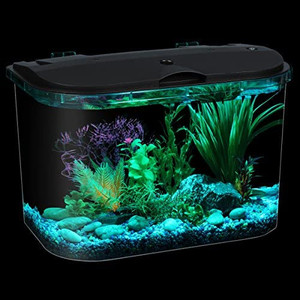 lot 2276 image: Koller Products 5-Gallon Aquarium Kit with LED Lighting and Power Filter