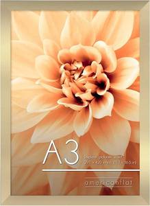 lot 7472 image: Americanflat A3 Picture Frame in Gold