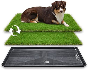 lot 10683 image: LOOBANI Large Dog Grass Porch Potty Tray, Replacement Artificial Grass Puppy Training Pads, Washable Pee Pads, Portable Dog Potty for IndoorOutdoor Use
