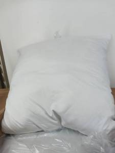 lot 10710 image: Set of 2 20 x 20 pillow insert