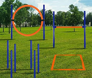 lot 30604 image: CHEERING PET Agility Training Equipment for Dogs, Dog Obstacle Course, Exercise Fun for Pets