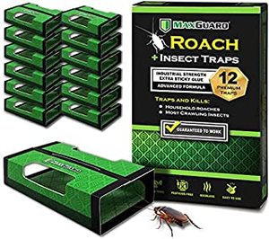 lot 63142 image: MaxGuard Roach  Insect Traps (12 Box Traps)  Non-Toxic Extra Sticky Box Traps  Trap and Kill German Cockroach, Brown Banded Cockroach, American, and Oriental Roaches Plus Crawling Bugs & Insects  (B09H7D5DSX)