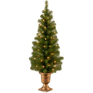lot 38804 image: National Tree Company 4 ft. Montclair Spruce Entrance Tree with Clear Lights