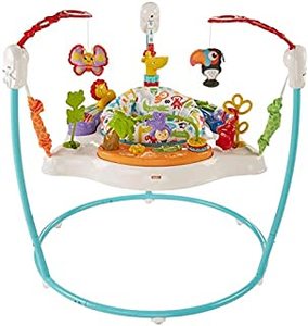 lot 38785 image: Fisher-Price Animal Activity Jumperoo, Blue, One Size (B071ZSFWCG)
