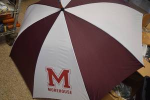 lot 85 image: 2 Golf Umbrellas - 50