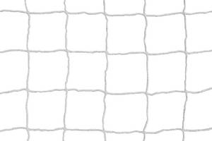 lot 184 image: Kwik Goal Soccer Goal Net