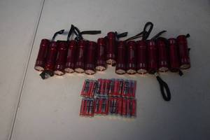 lot 422 image: 15 LED Flashlights