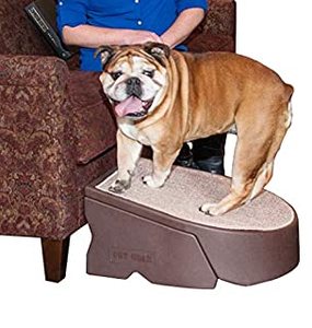 lot 13592 image: Pet Gear Stramp Stair and Ramp Combination for DogsCats, Easy Step, LightweightPortable, Sturdy, Easy Assembly (No Tools Required) 2 Models, 3 Colors (B01739JJ84)