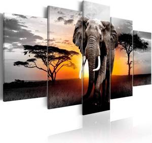 lot 13622 image: Extra Large African Elephant Wall Art Print Pictures Animals Landscape Paintings for Living Room Decoration Set of 5, Framed 80 W x 40 H