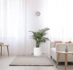 lot 10365 image: Kazeila Plant Pots Ceramic Planter for Indoor Outdoor Plants Flowers 10 Inch Matte White Large Cylinder Flower Pot with Saucer and Drainage Hole,Glazed Finish Interior and Exterior