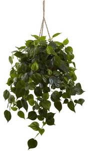 lot 10380 image: Nearly Natural Philodendron Hanging Basket UV Resistant (IndoorOutdoor),Green