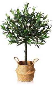 lot 10460 image: SOGUYI Artificial Olive Tree 3ft Tall Fake Potted Olive Silk Tree Artificial Plant for Home Decor Indoor,Come with Woven Seagrass Belly Basket Faux Topiary Ball Trees Perfect Housewarming Gift