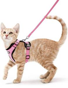 lot 60024 image: rabbitgoo Cat Harness and Leash for Walking, Escape Proof Soft Adjustable Vest Harnesses for Cats, Easy Control Breathable Reflective Strips Jacket, XS