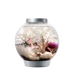 lot 61443 image: biOrb Classic 15 Aquarium with Standard Light - 4 Gallon, Silver, 72000 (B081VKRX4Q)
