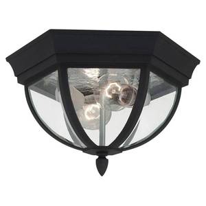 lot 61502 image: Sea Gull Lighting 78136-12 Wynfield 2-Light Outdoor Ceiling Flush Mount in Black
