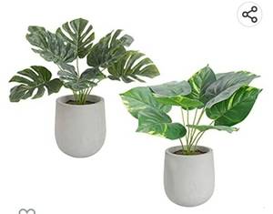 lot 71970 image: MyGift Set of 2 Artificial Potted Indoor Plants - Turtle Leaf and Monstera Fake Plant with Paper Pulp Pots