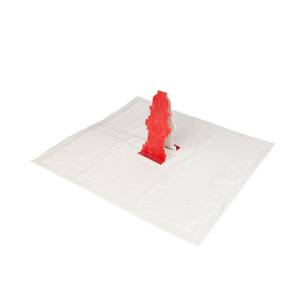 lot 71971 image: Rocky and Maggie s - Pop-Up Pee Pad - Puppy Pee Pad - Male Puppies and Dogs Will Love The Hydrant Target Pee Pee Pad for Potty Training - No Need for Pee Pad Holders Trays or Diapers
