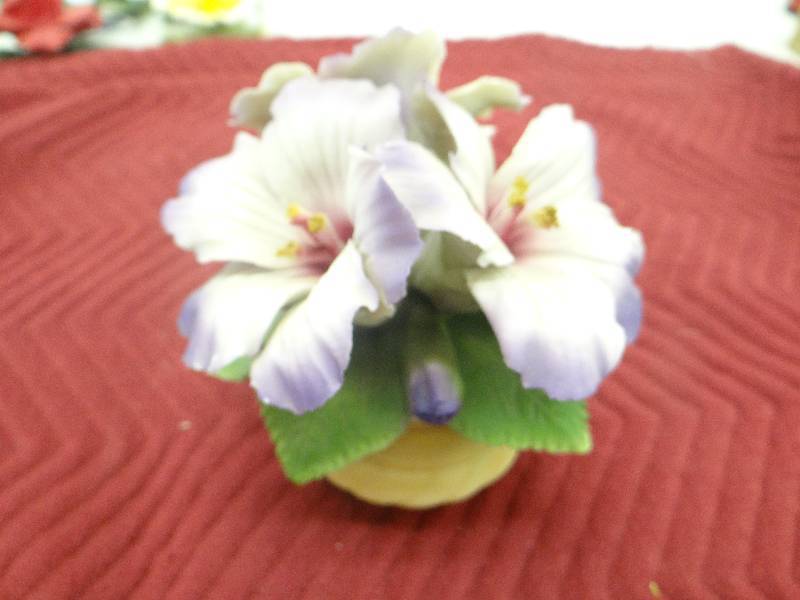 lot 1340 image: Capodimonte porcelain hybiscus flowers in pot - made in Italy.