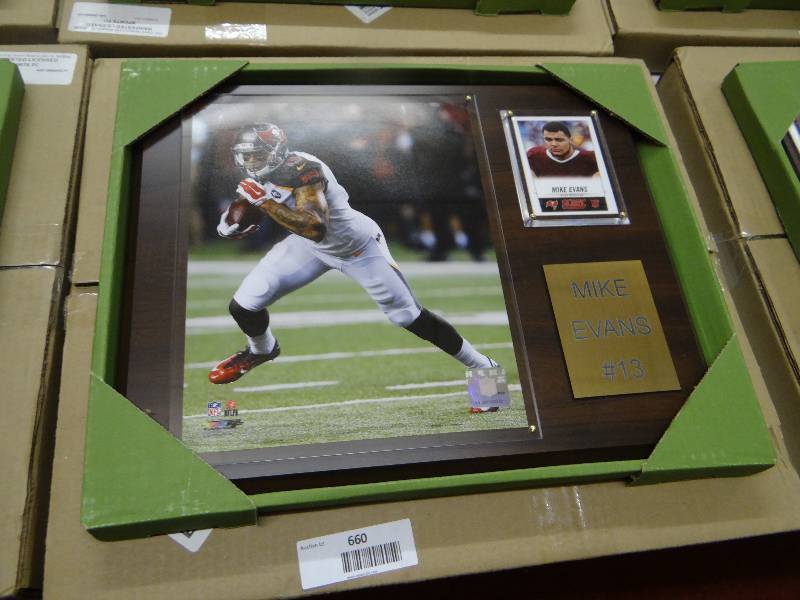 lot 660 image: Mike evans #13 wall display.