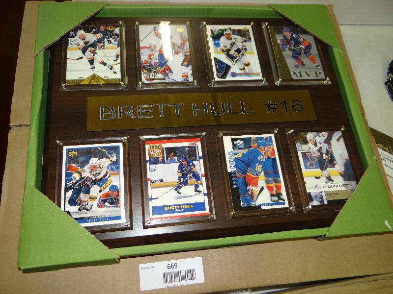 lot 669 image: #16 Brett Hull 8 card wall display.