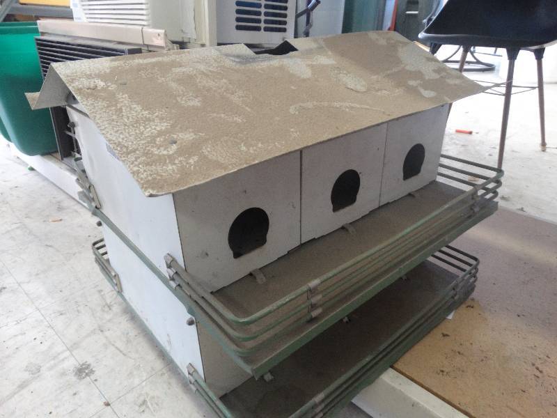 lot 1898 image: Big birds house.