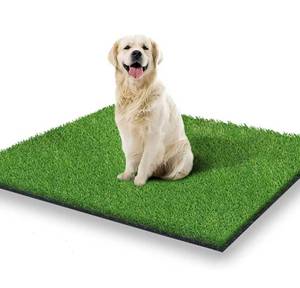 lot 3190 image: Artificial Grass Rug Turf for Dogs Indoor Outdoor Fake Grass for Dogs Potty Training Area Patio Lawn Decoration