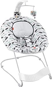 lot 20062 image: Fisher-Price See and Soothe Deluxe Bouncer Climbing Leaves, Portable Soothing Baby Seat with Vibrations and Music (B08GZ57BGV)