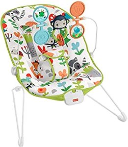 lot 15438 image: Fisher-Price Babys Bouncer Green, bouncing seat for soothing and play for newborns and infants (B08GYX8NWG)