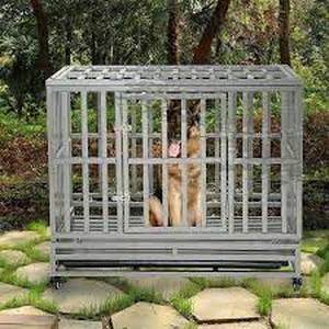 lot 5848 image: Smonter Heavy-Duty Dog Crate