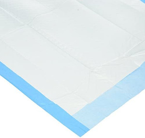 lot 25703 image: Disposable Under Pad, 17 L X 24 W, 100 Count
