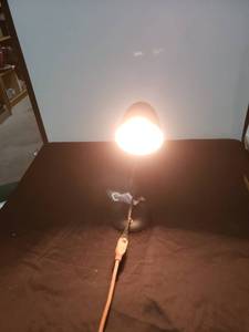 lot 2506 image: small metal desk lamp adjustable