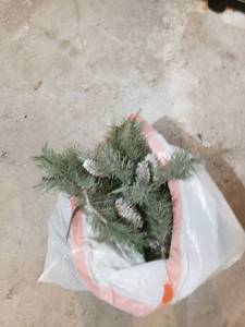 lot 2560 image: l9t of pine pics
