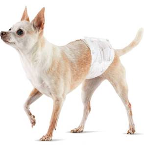 lot 39995 image: Amazon Basics Male Dog Wrap, 50 - Disposable Diapers Size Extra Small