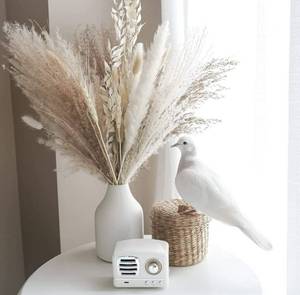 lot 56563 image: Calliope Creations - Dried Pampas Grass  Premium Dried Bouquet with Naturally Dried Pampas  Long-Lasting Dried Flowers Bouquet for Boho Home Decor and Boho Wedding Decor 30 Stems (White and Beige)