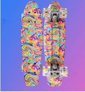 lot 56673 image: 22 Skateboard Standard Complete Mini Cruiser Retro Skateboard for Kids Teens Adults, PU Wheels Standard Skateboards