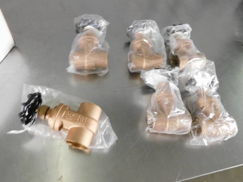 lot 3667 image: Lot of Premier 1-12 FIP Gate Valves