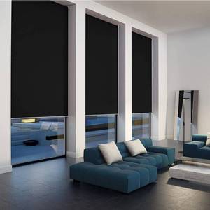 lot 42582 image: Homebox 100% Blackout Roller Window Shades