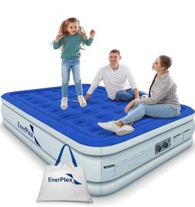 lot 42587 image: EnerPlex Air Mattress with Built-in Pump