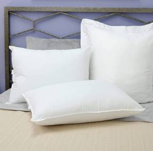lot 44912 image: SensorPEDIC Value SofLOFT Fiber Filled Standard Bed Pillow with Cotton Cover, White
