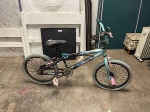 lot 6480 image: girls 20 inch bike